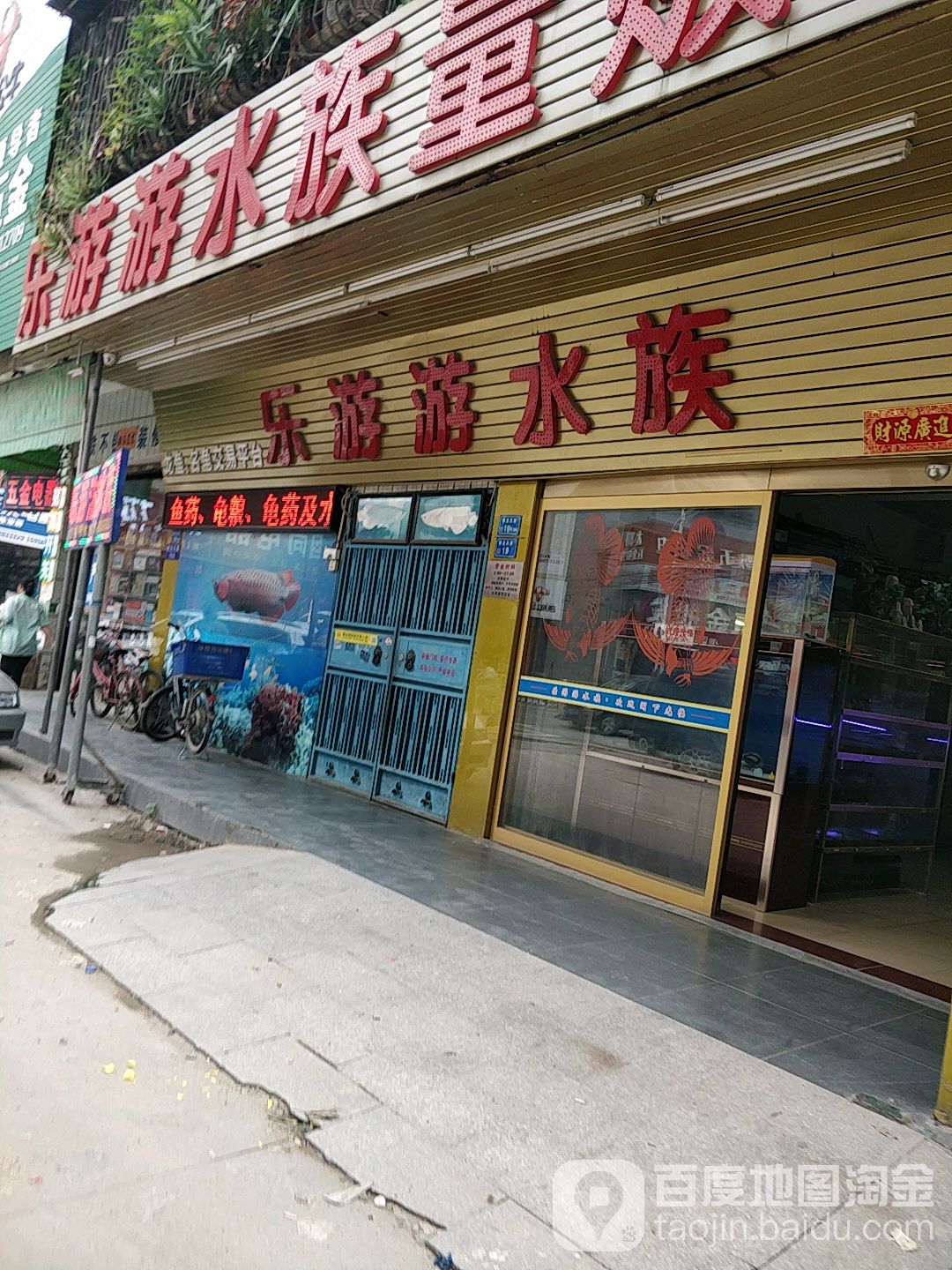 乐游游水族量贩