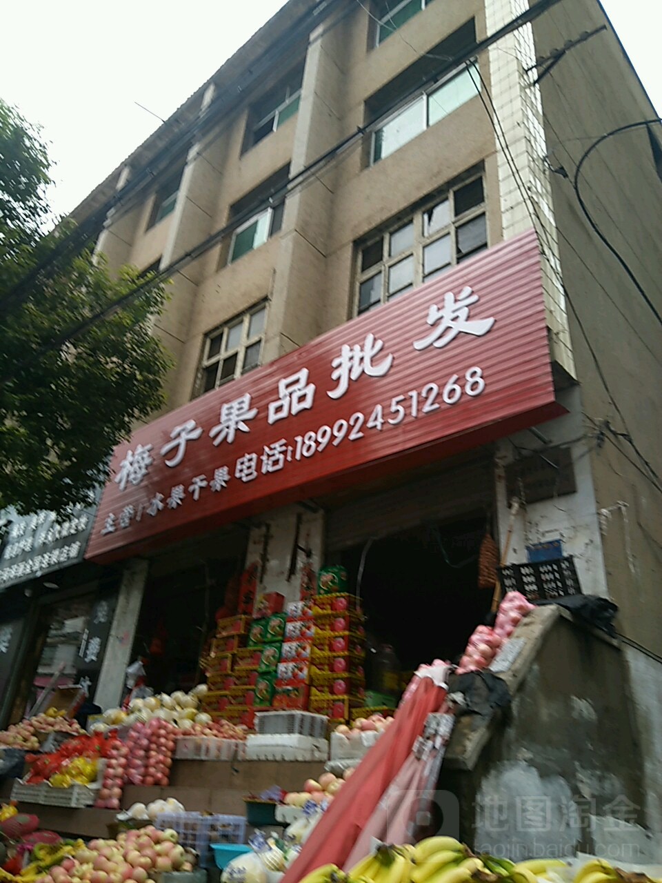 梅子果品批发