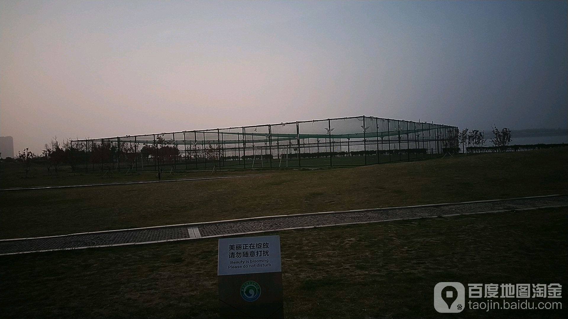 唐岛湾滨海公园-网式足球场