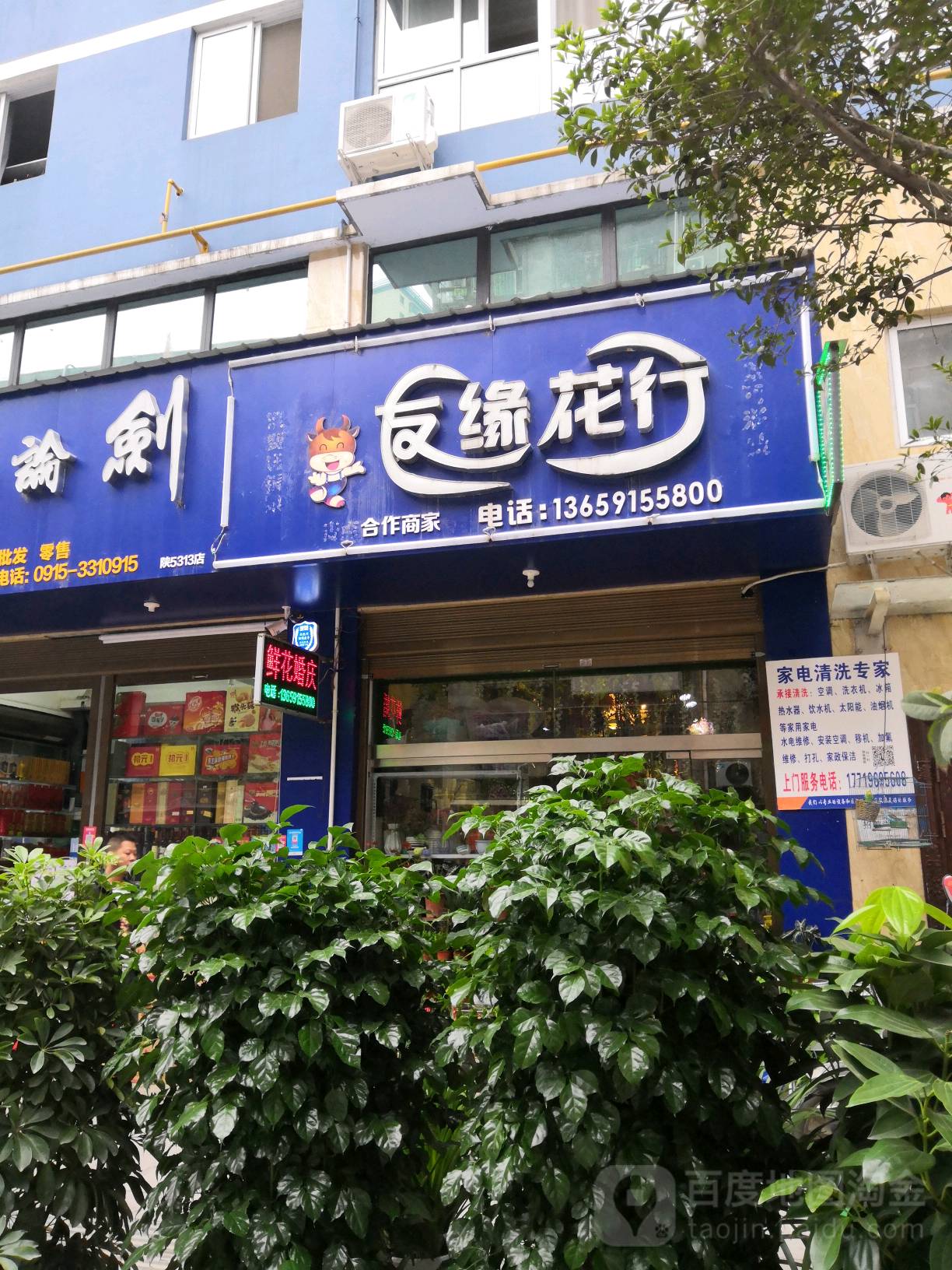友缘花行