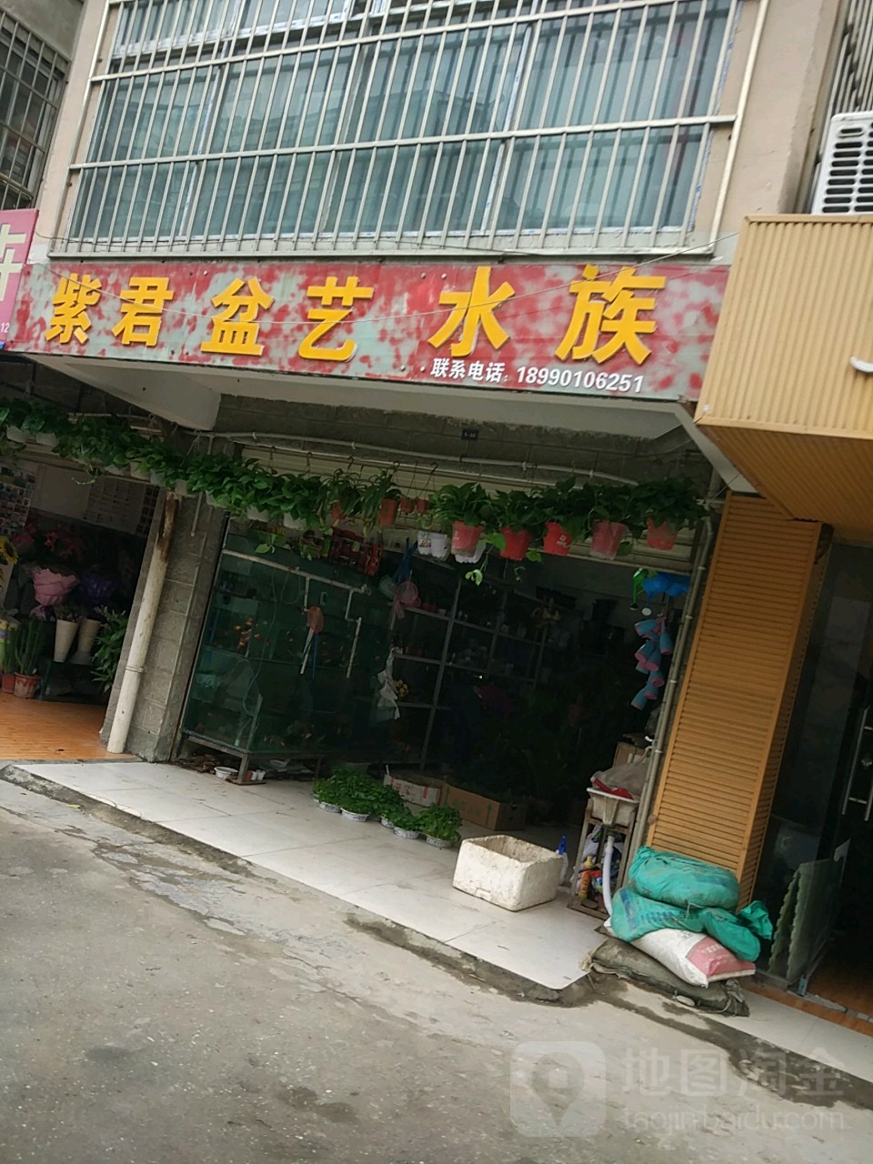 紫君鲜花盆艺(嘉兴景苑店)