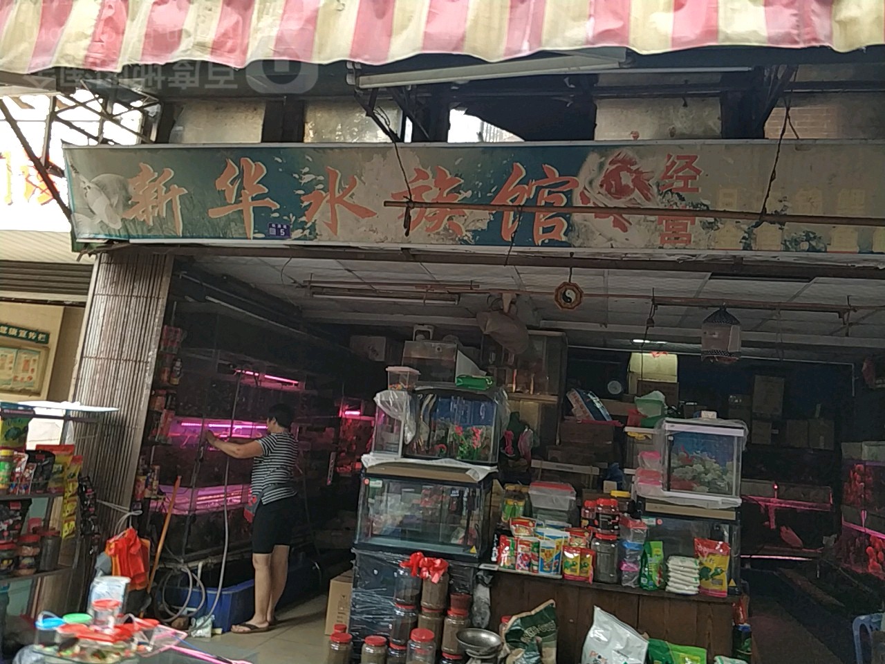 新华水族管