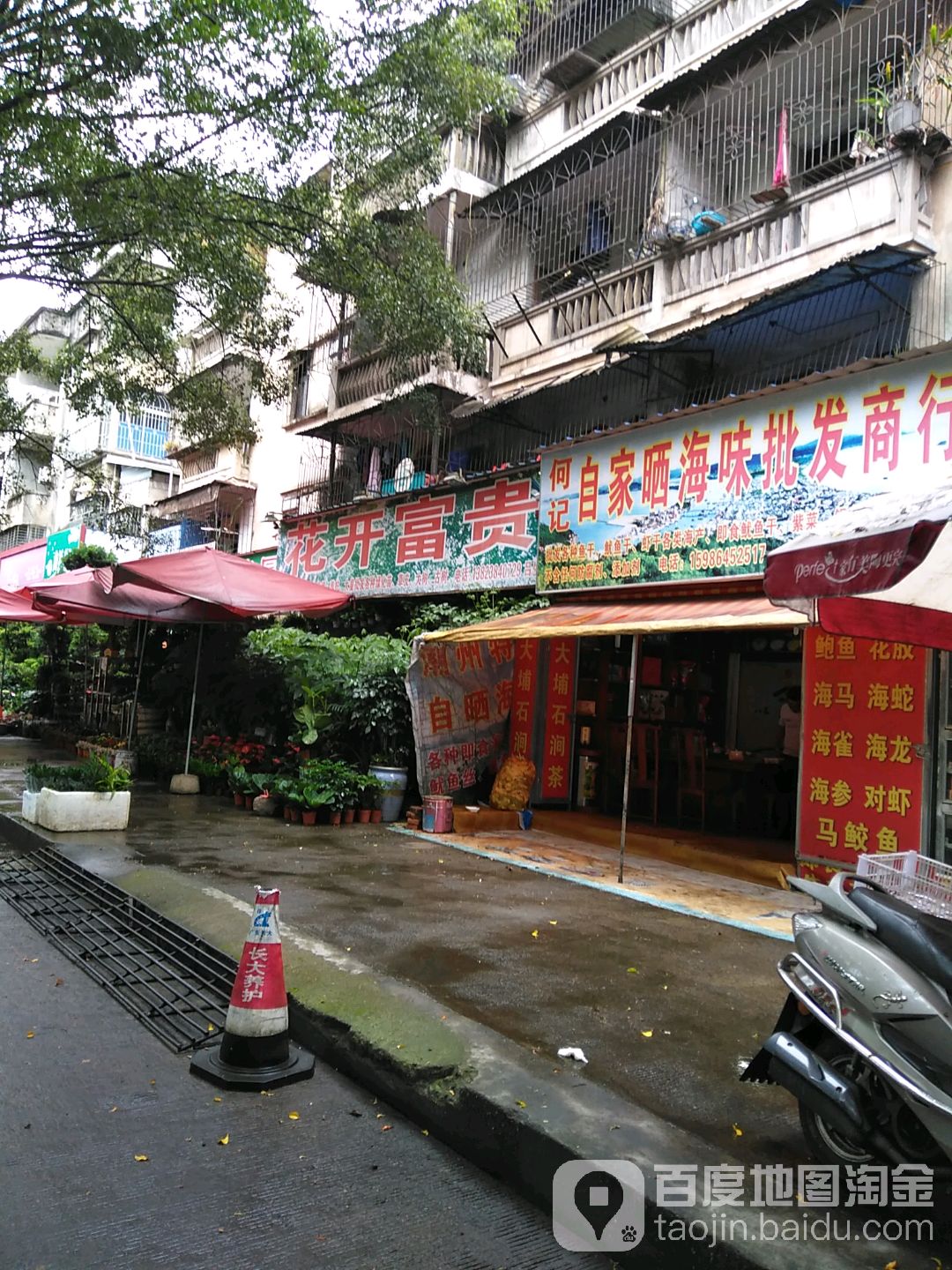 福建花开富贵。园艺(周增路店)
