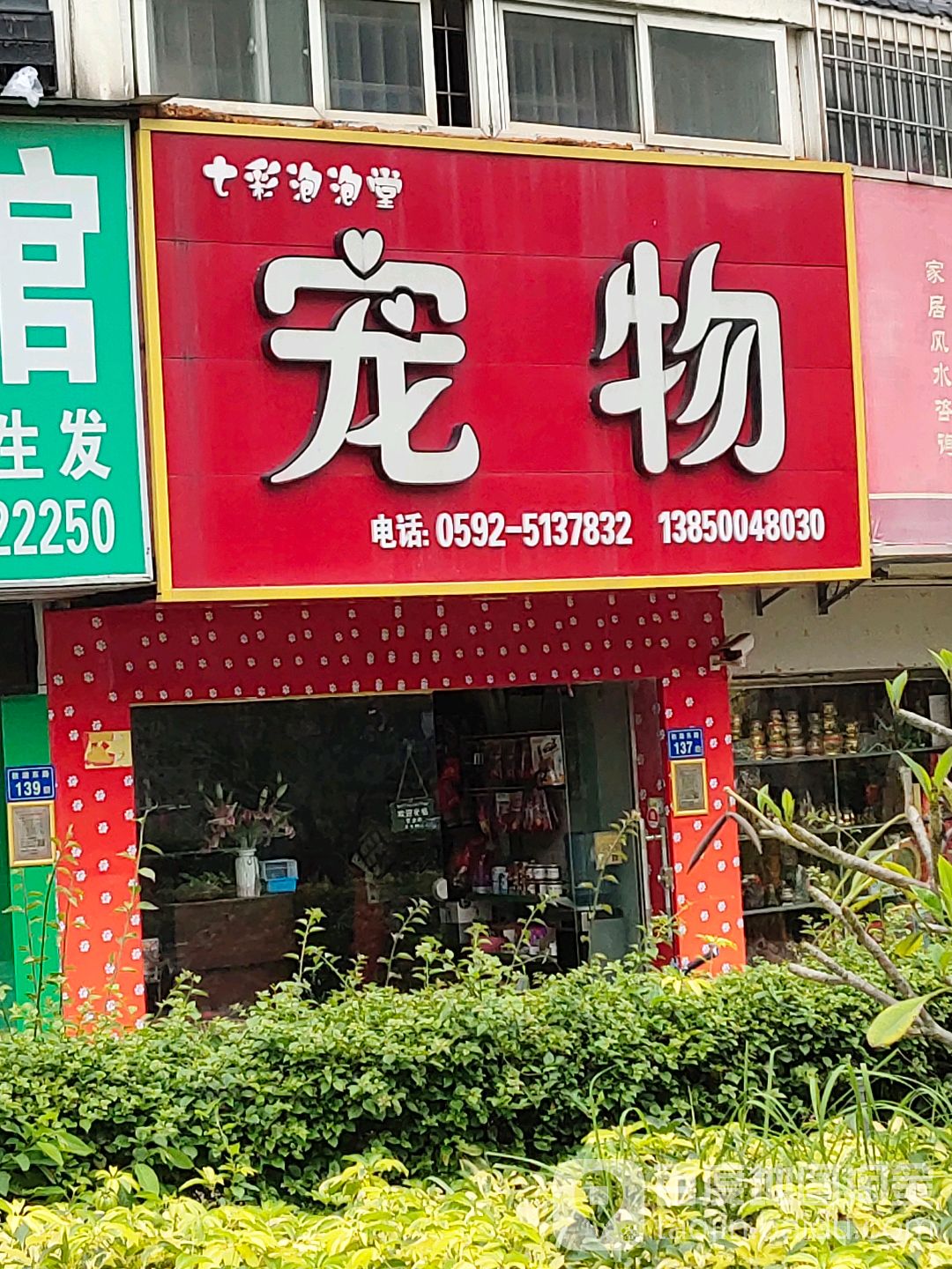 七彩泡泡堂宠物店