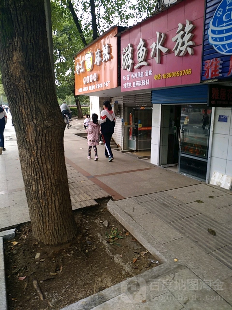 游鱼水族馆