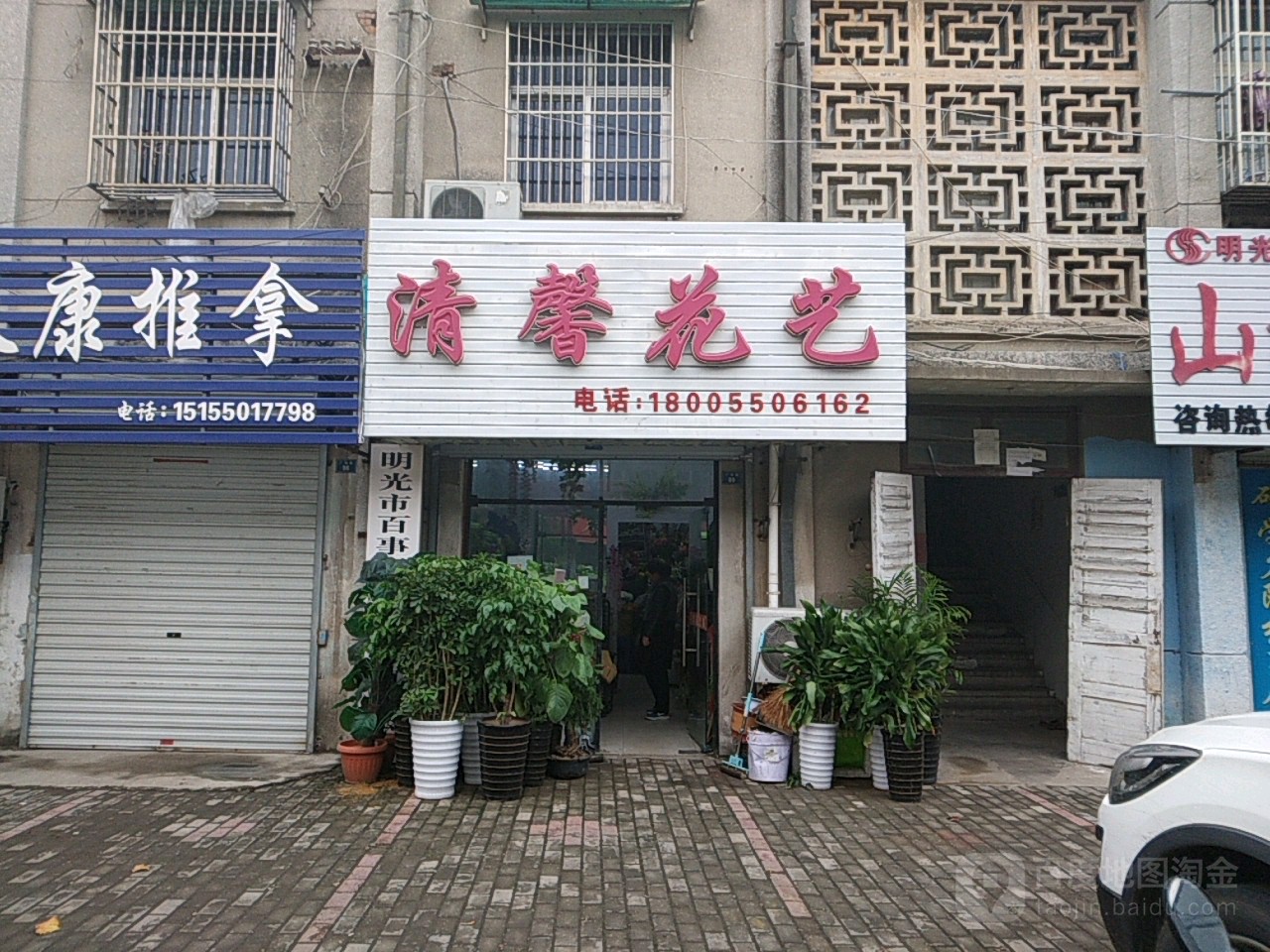 清馨花一