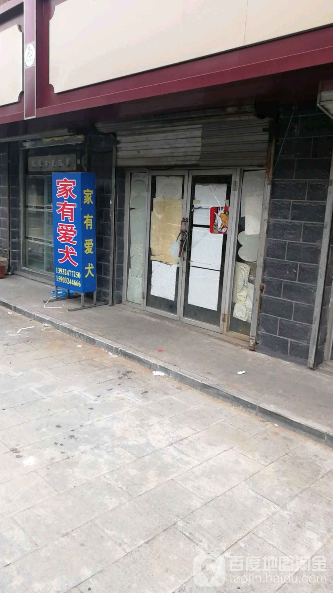 家有爱犬宠物店(龙港西街店)