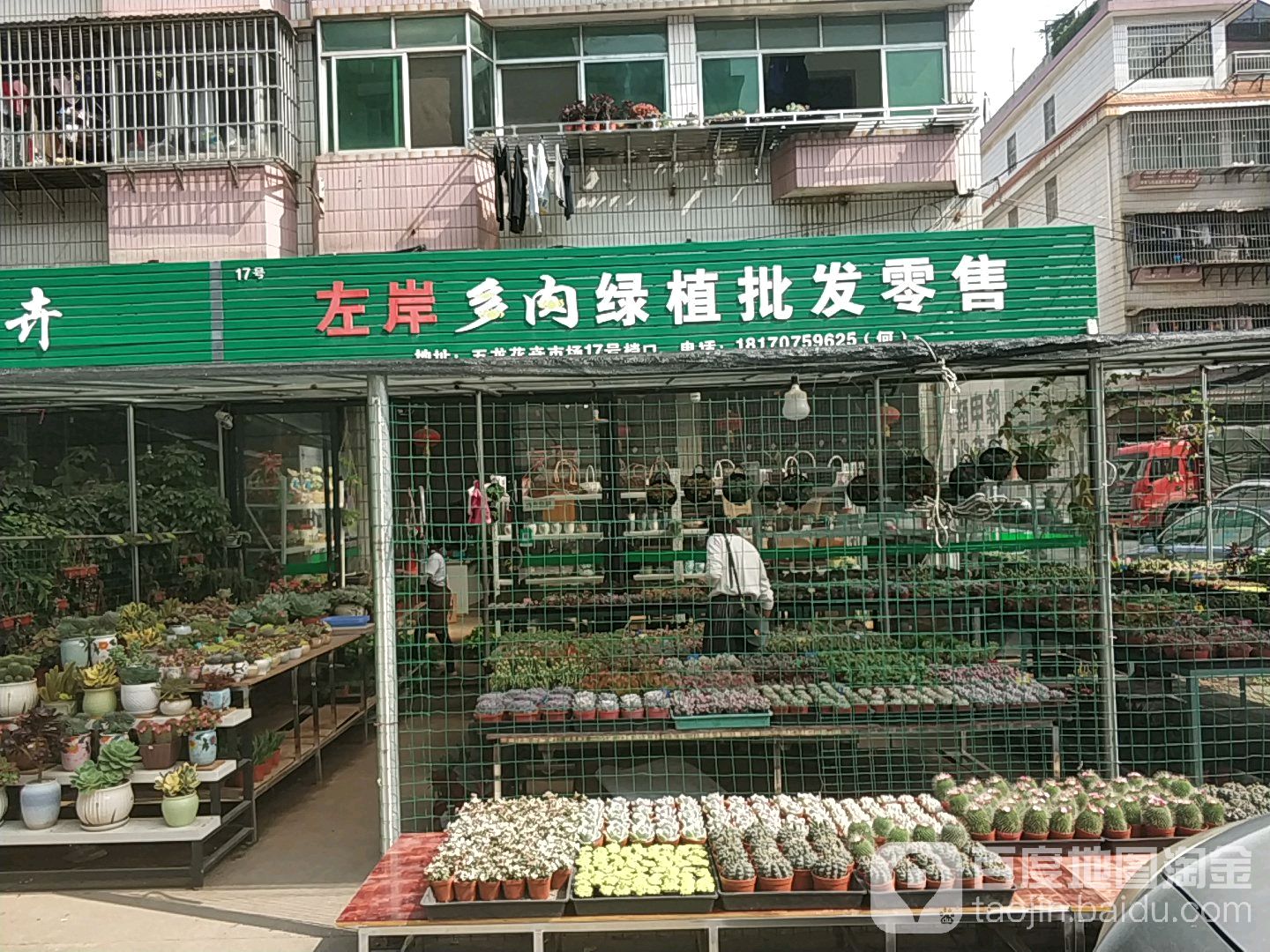 左岸多肉绿植批发零售