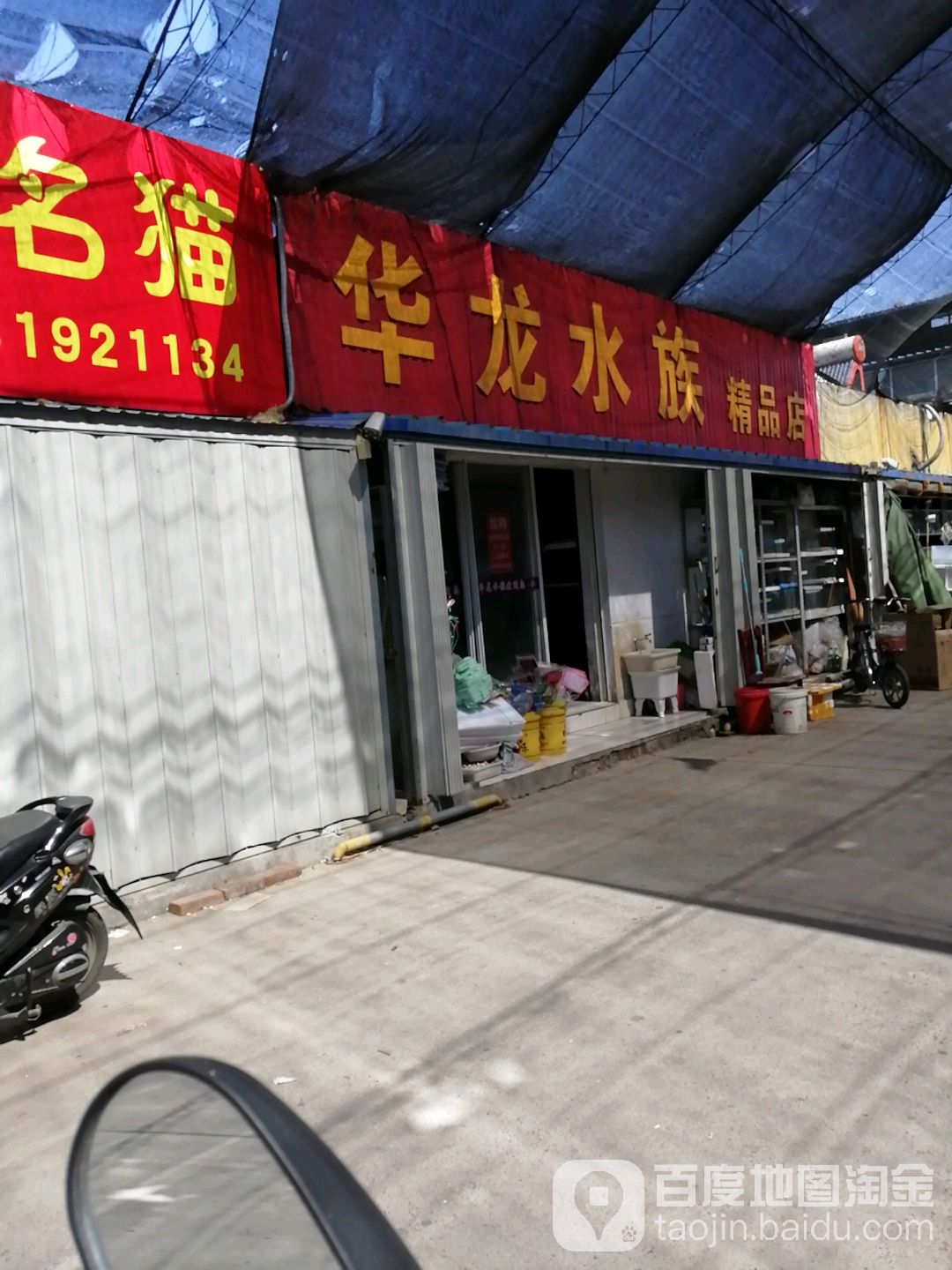 飞龙水族
