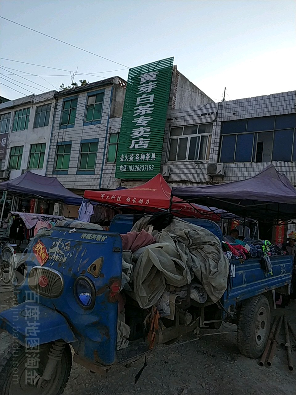 黄芽白茶专卖店