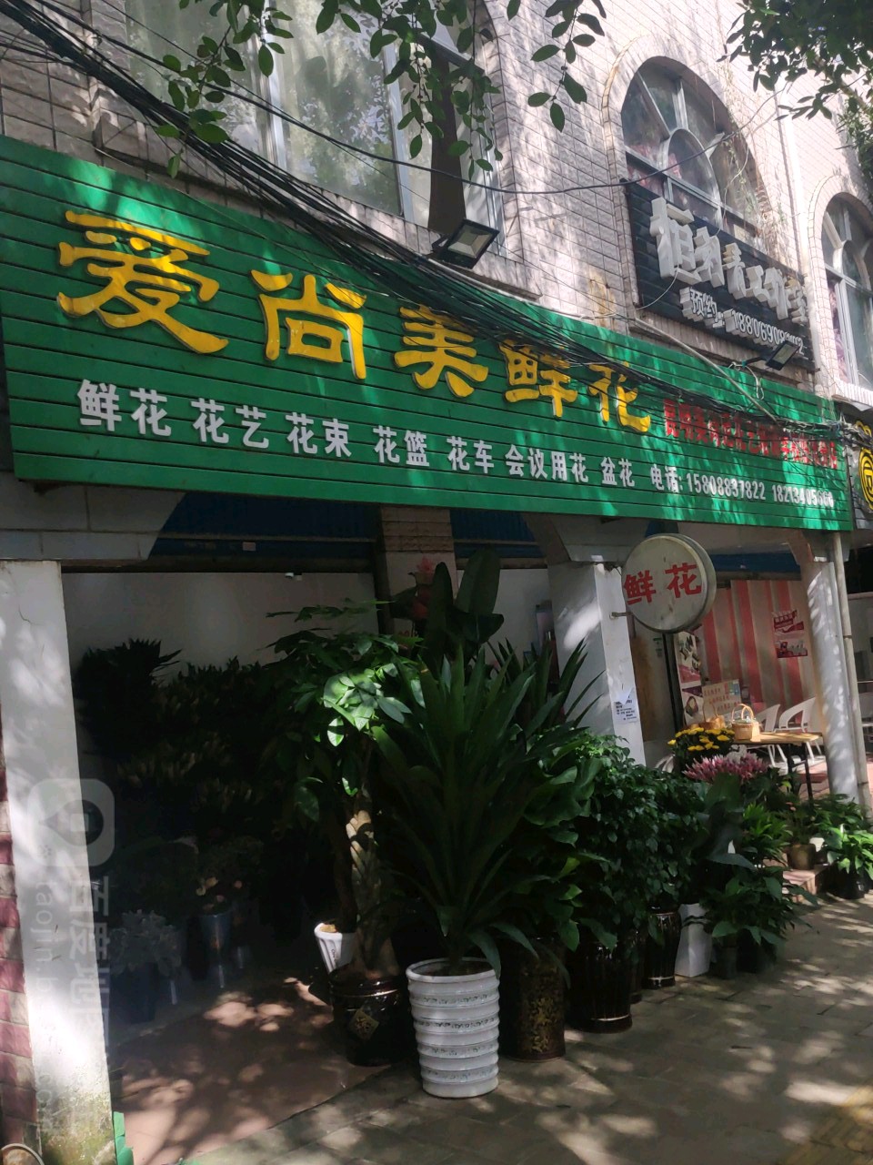 爱尚美(凤翔路店)