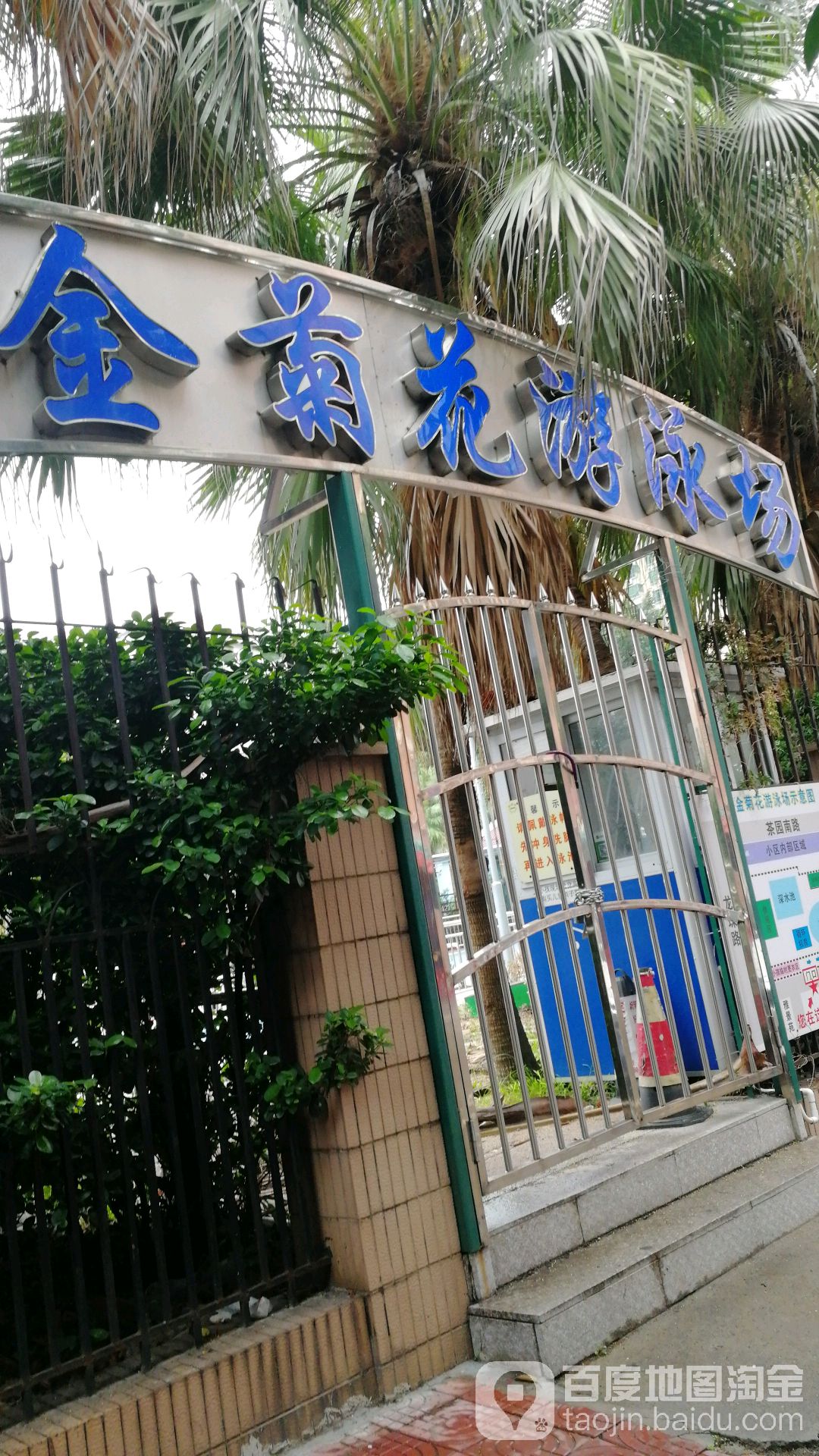 金菊花游泳场