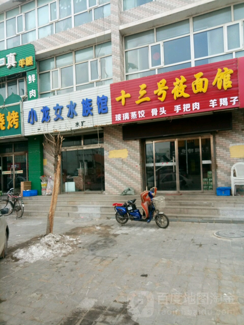 小龙女水族管