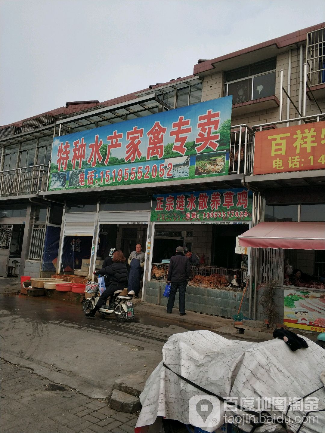 特种睡产家禽专卖