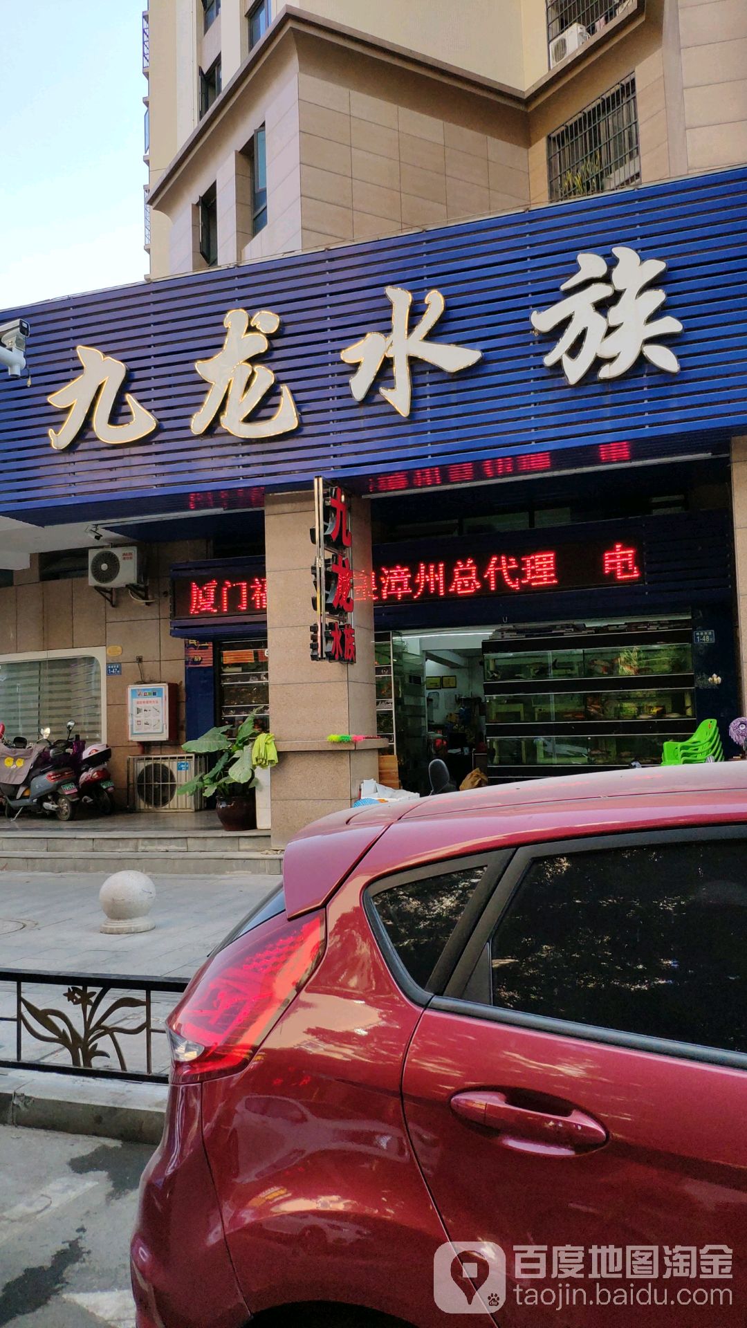 九龙水族(青年路店)