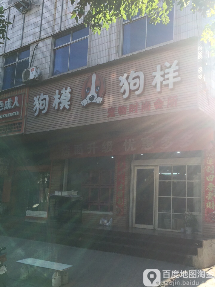 狗模狗宠物时尚会所样(灵东街店)