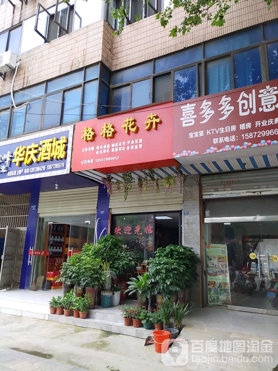 格格花卉