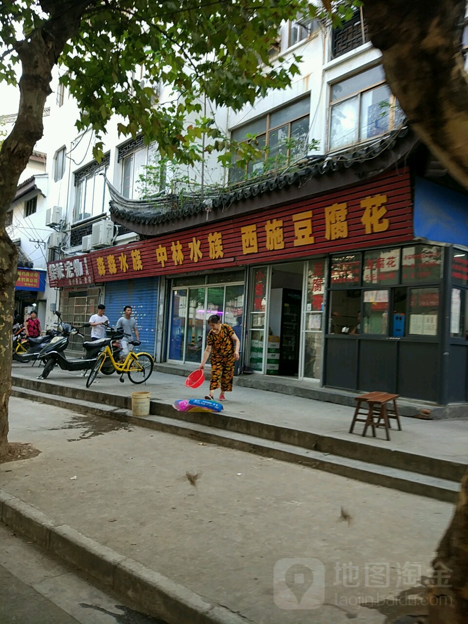中林水族