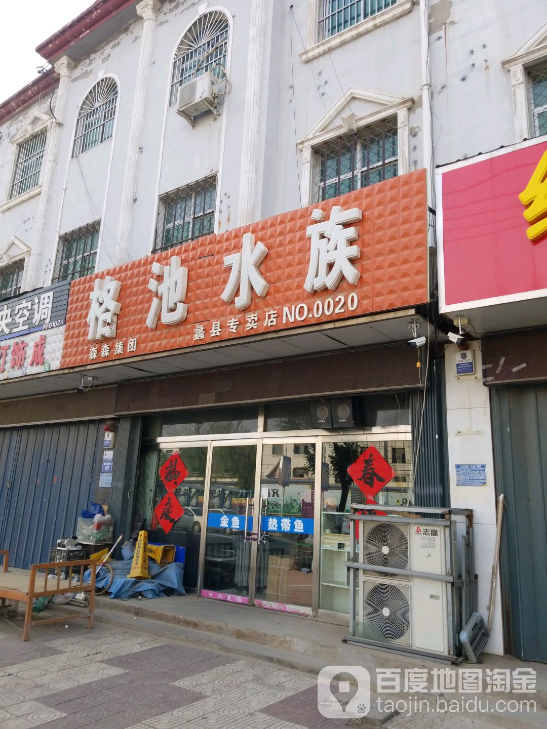 格池水族园艺(蠡县专卖店)