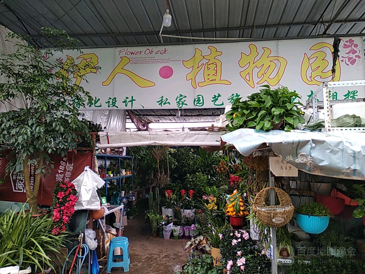伊人w植物园