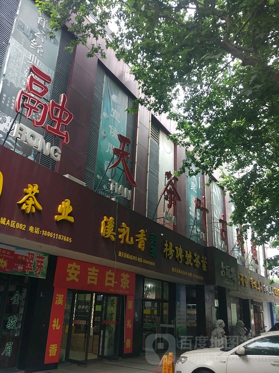 杨聘号茶叶