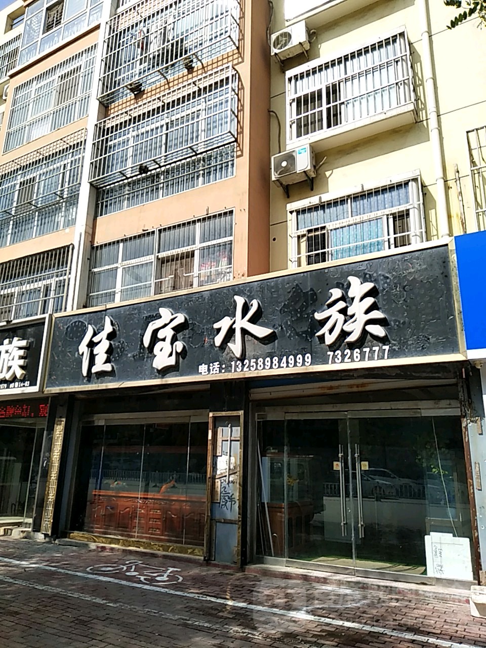 佳宝水族(政府街店)