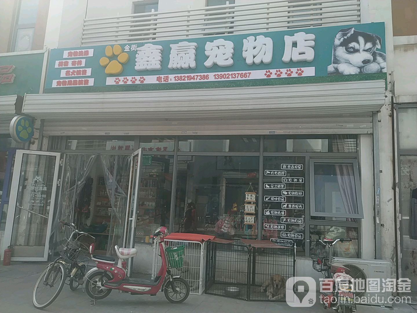 鑫赢宠物店