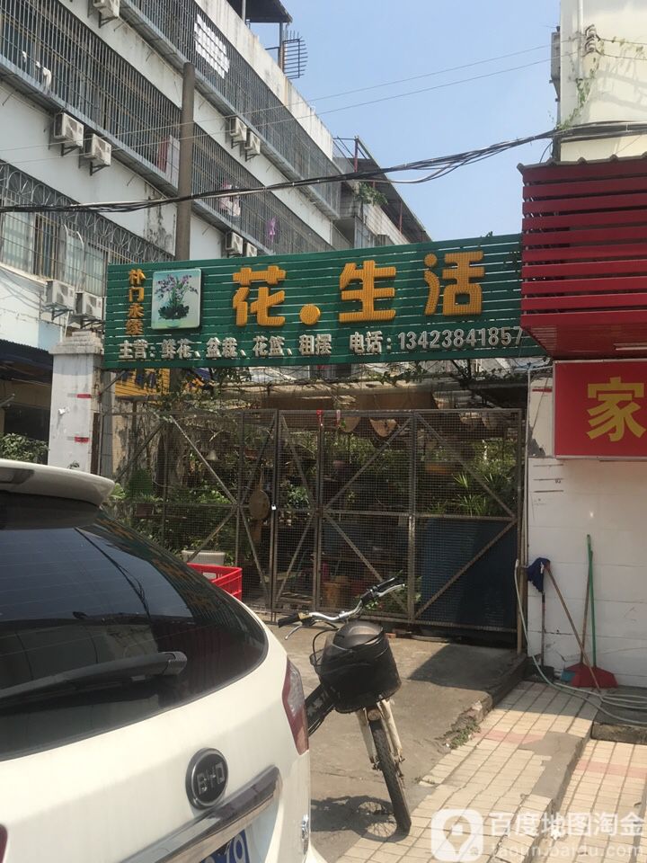 花生活花店(文新路店)
