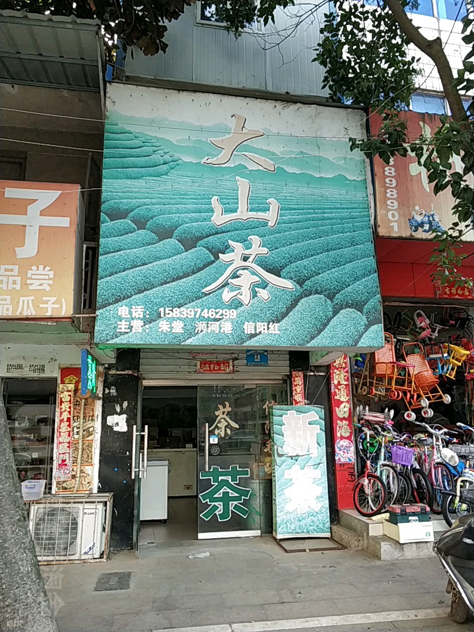 罗山县大山茶