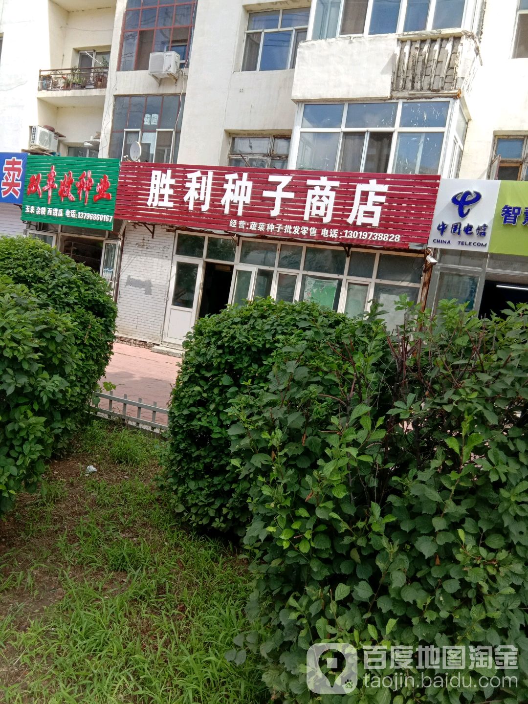 胜利种子商店