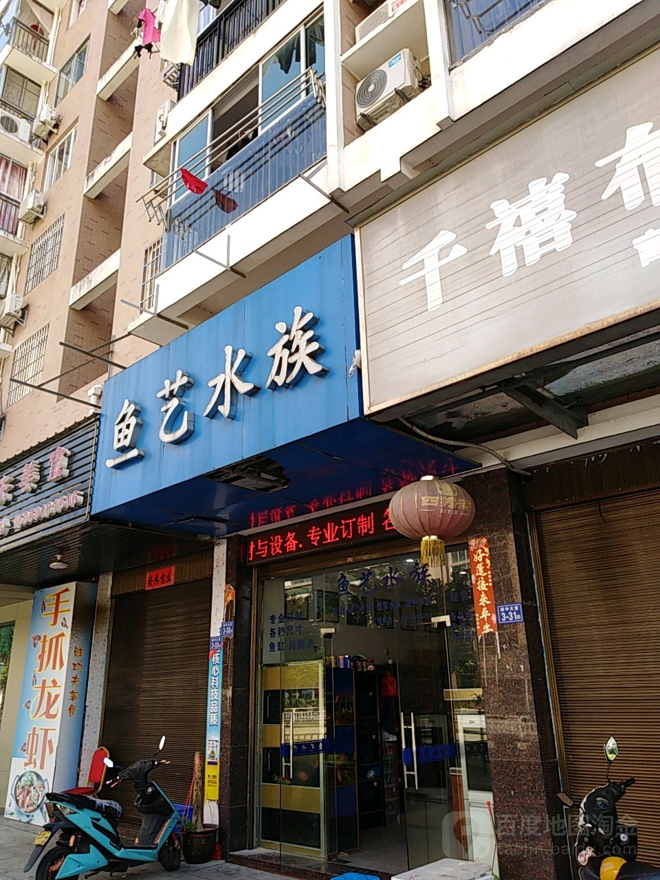鱼艺水族(东一路店)