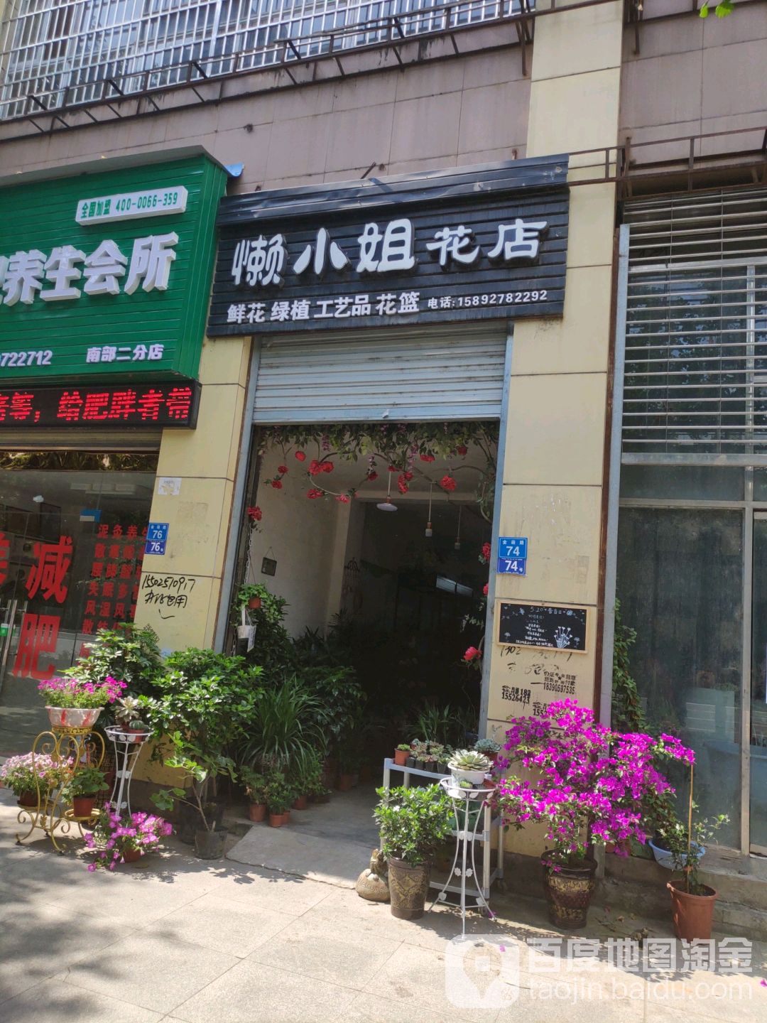 懒小姐花店