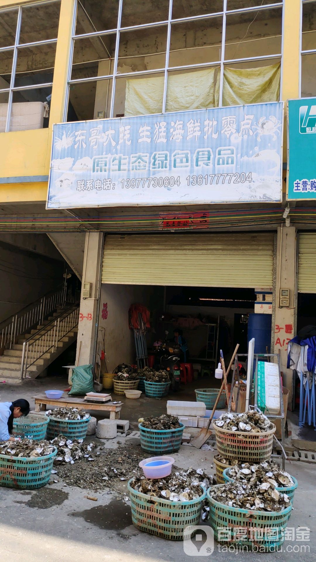 东哥生蚝批发零售