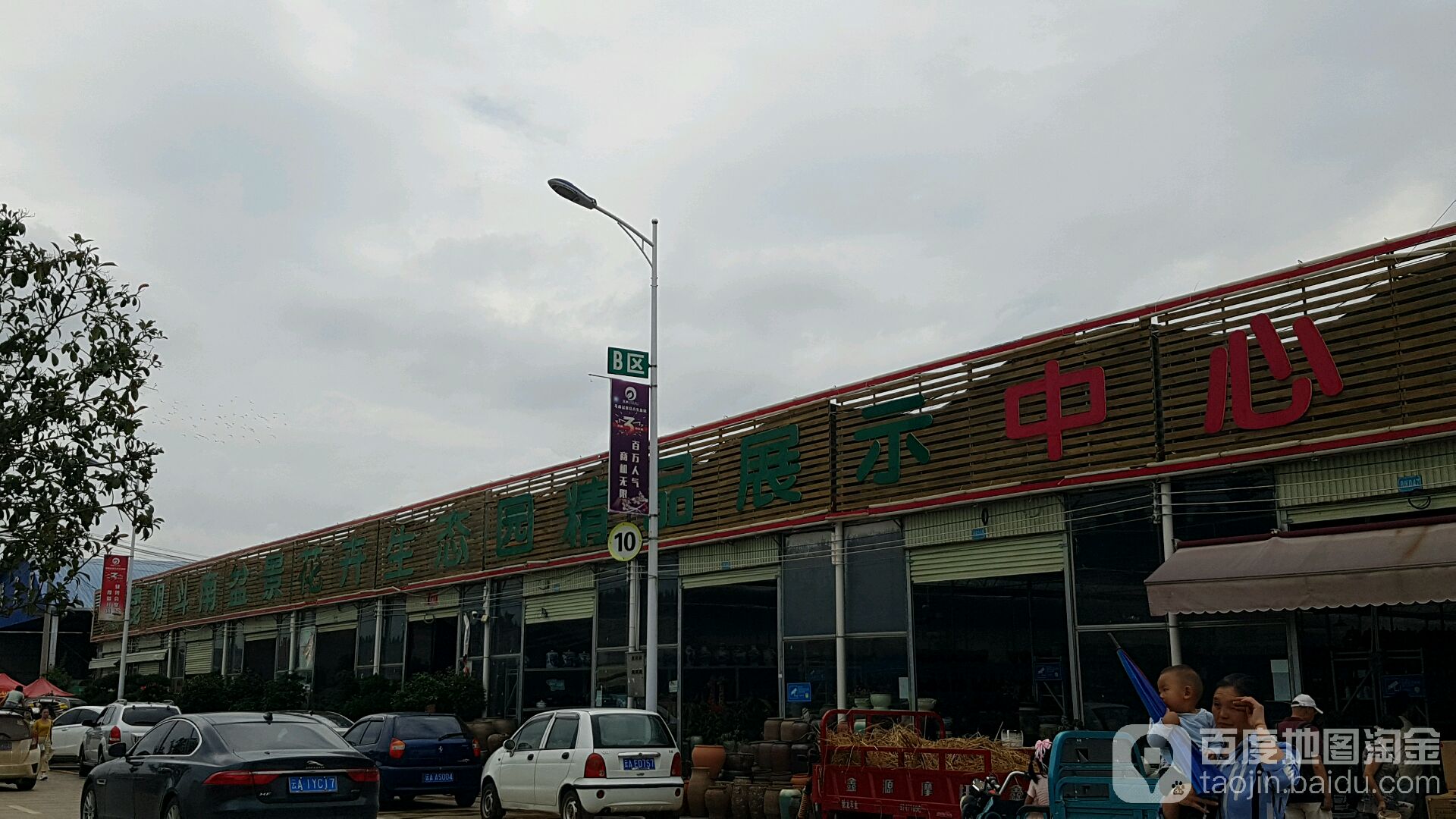昆明斗南盆景花卉生态园精品展示中心
