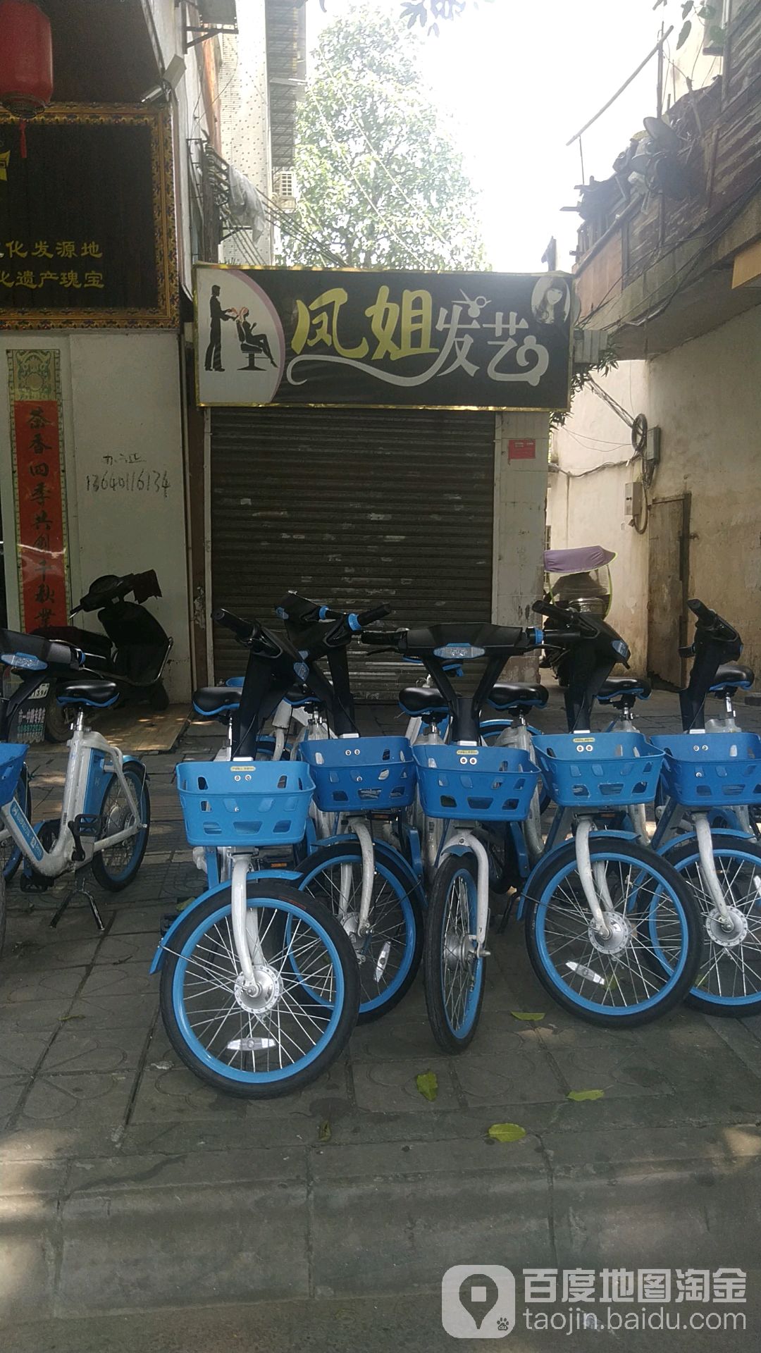 凤姐发艺社