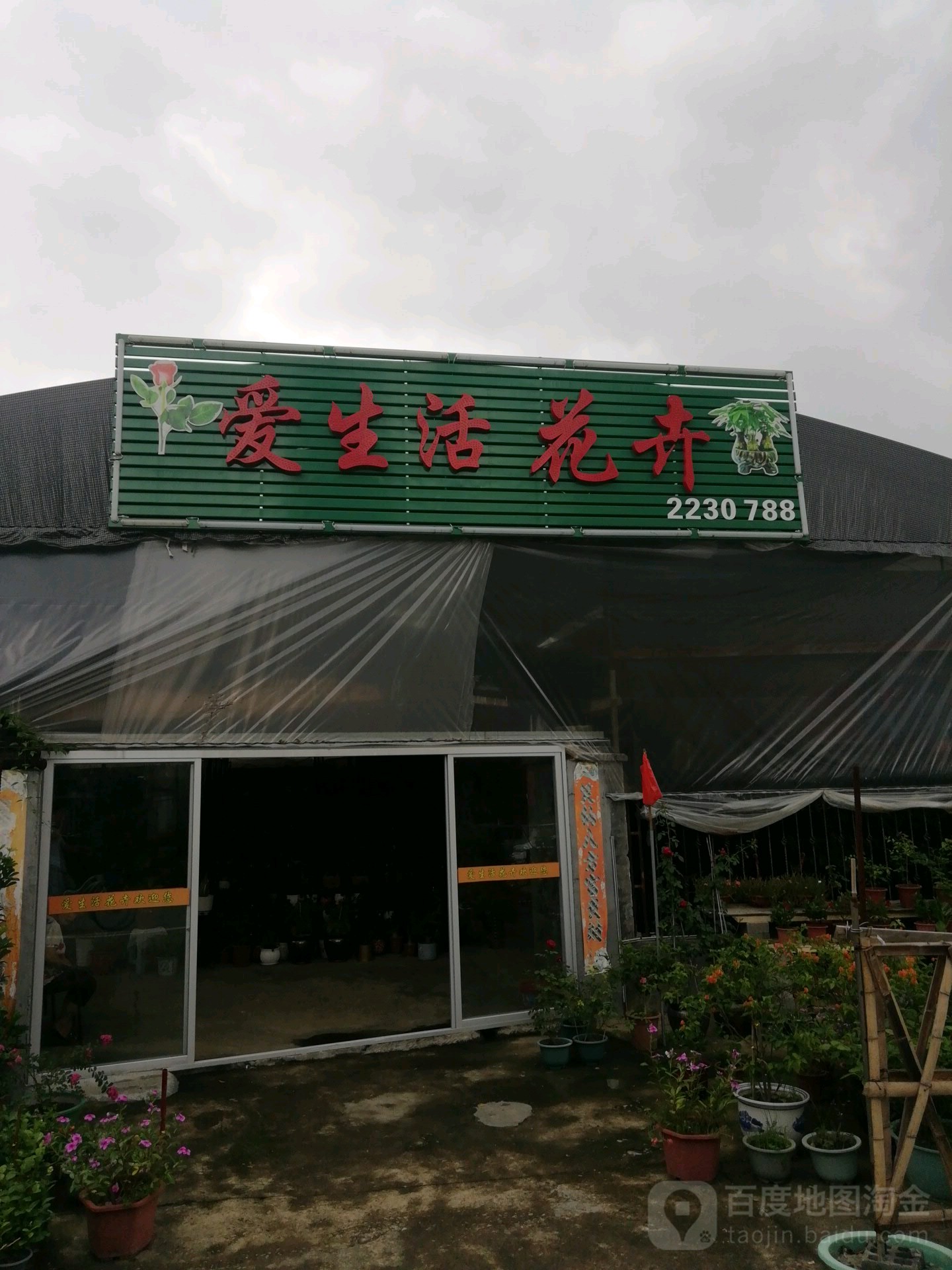 爱生活花卉
