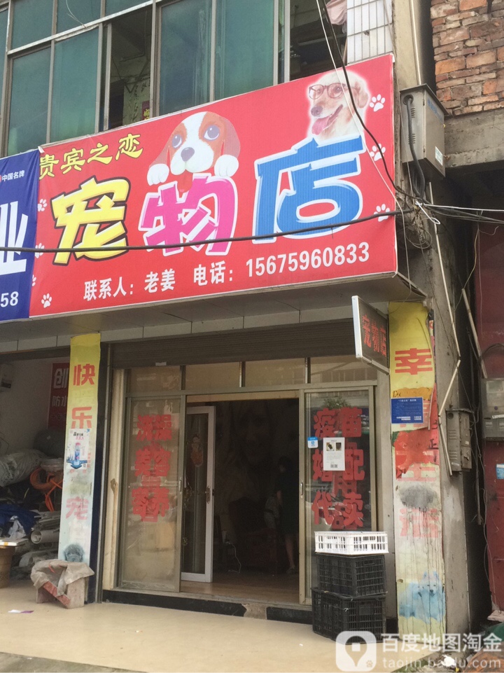 贵宾之恋宠物店