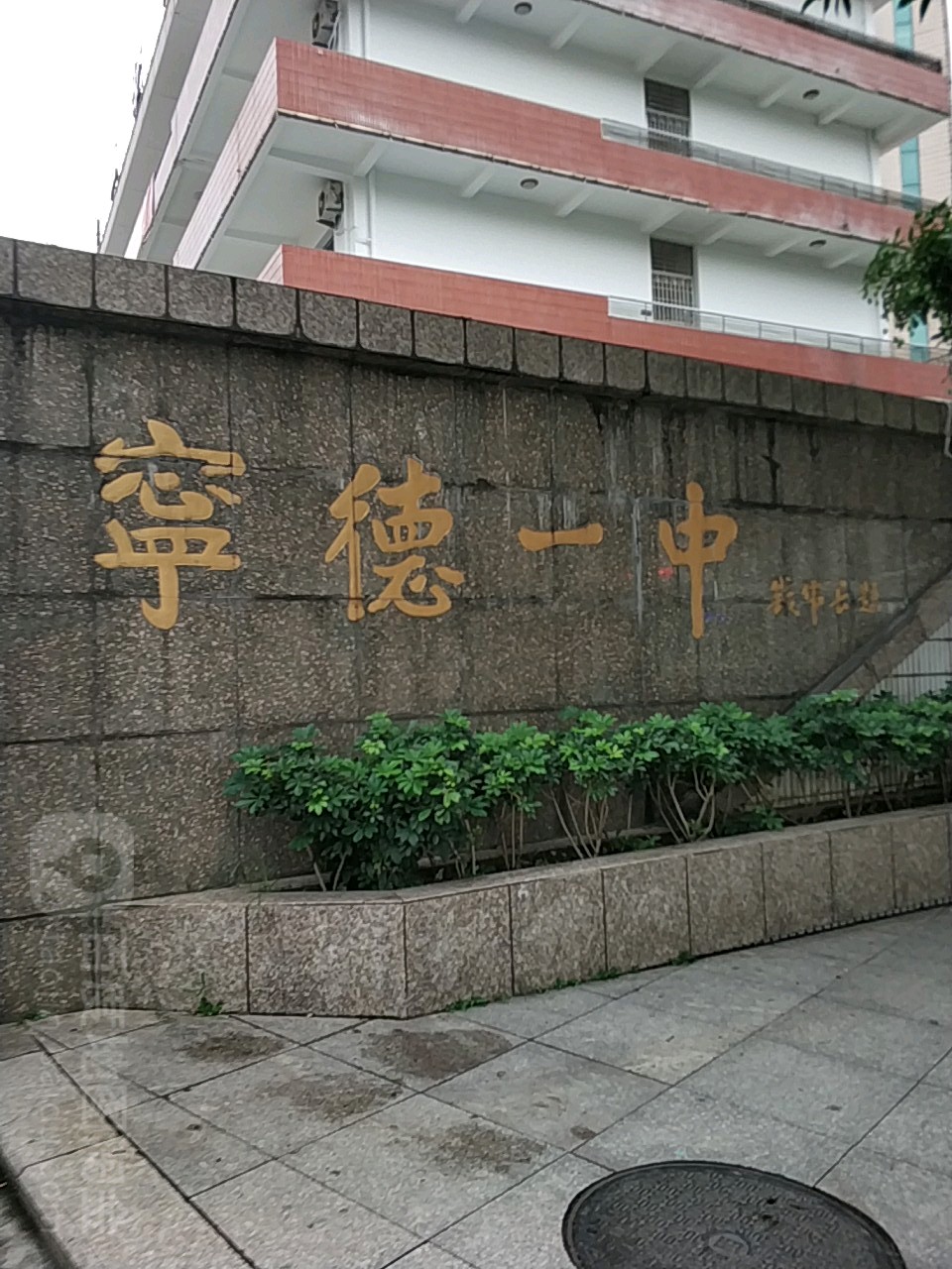 宁德医中