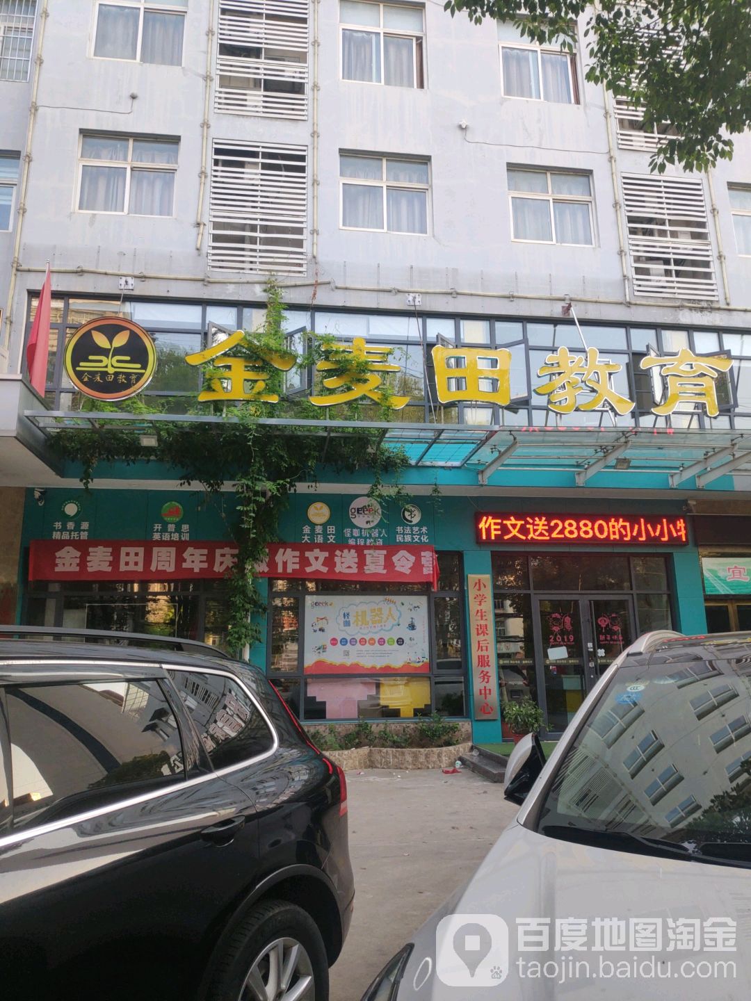 金麦田教育