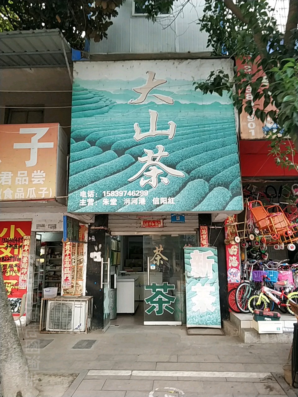 罗山县大山茶