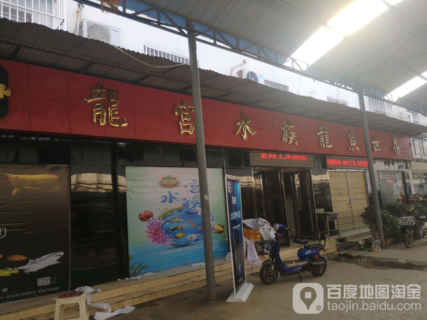 龙宫水族龙鱼世界(堤角花鸟宠物大世界店)