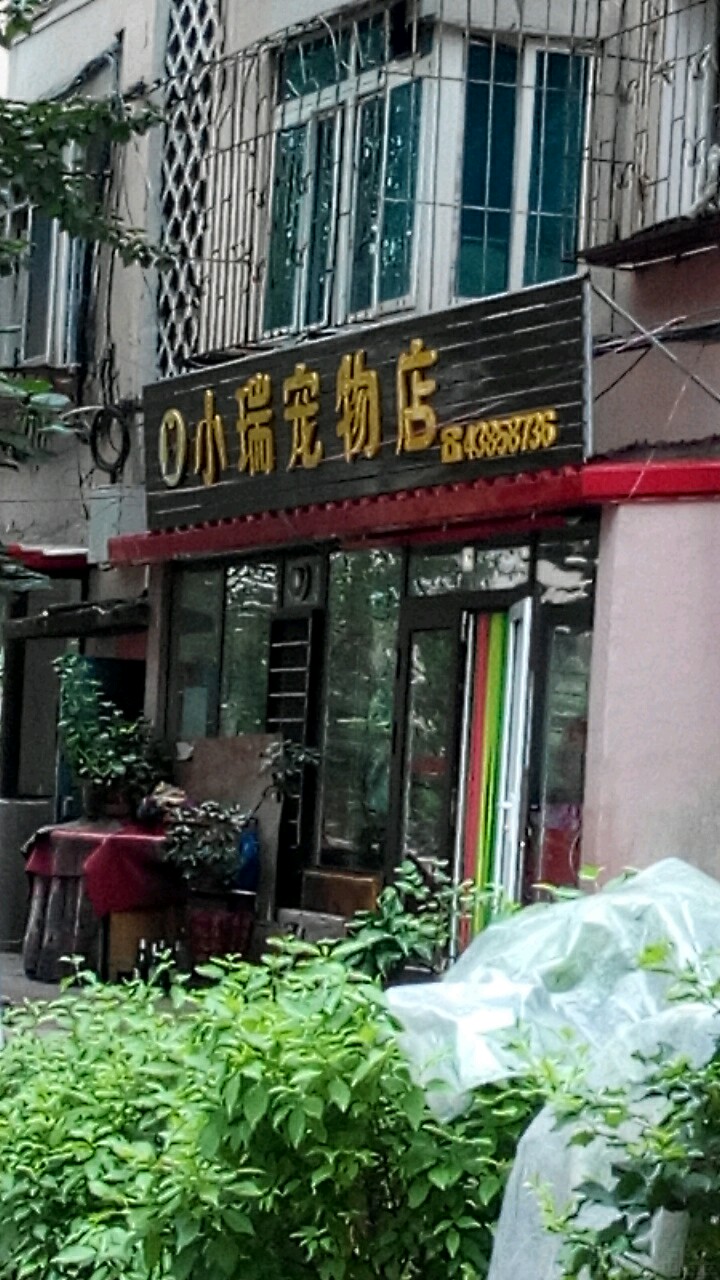 小瑞宠物店