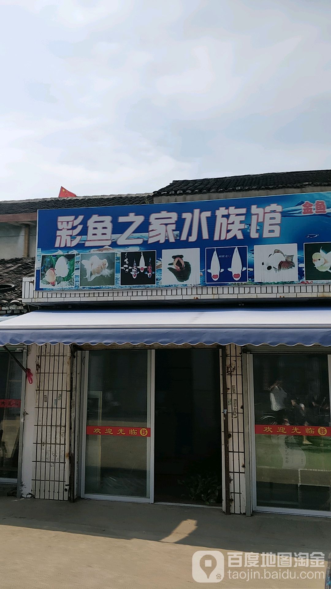 彩鱼之家水族馆