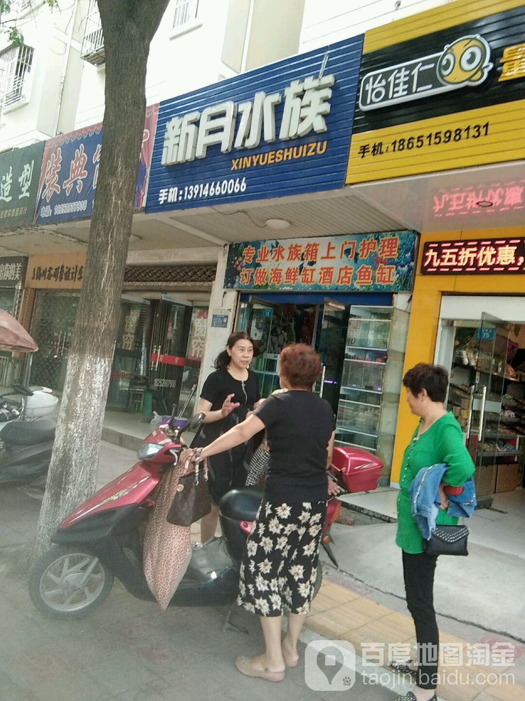 新悦水族