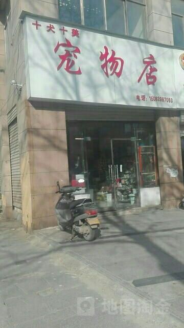 十犬十美宠物店