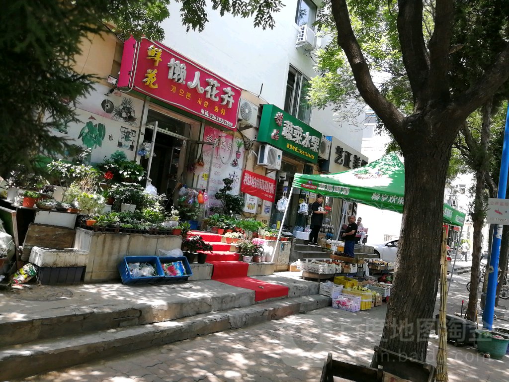 懒人花卉