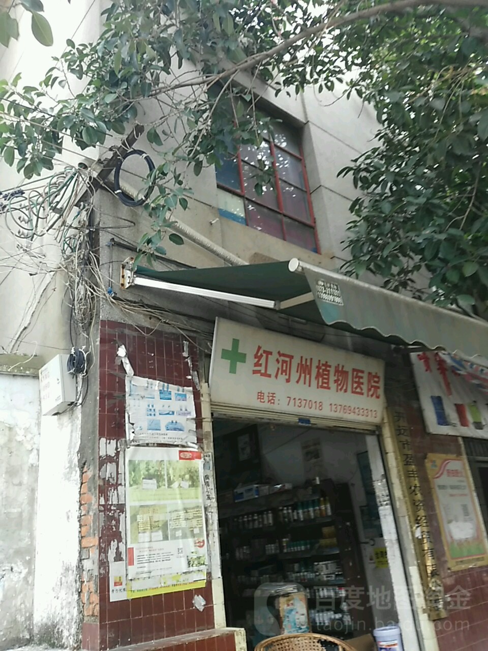 红河州植物医院