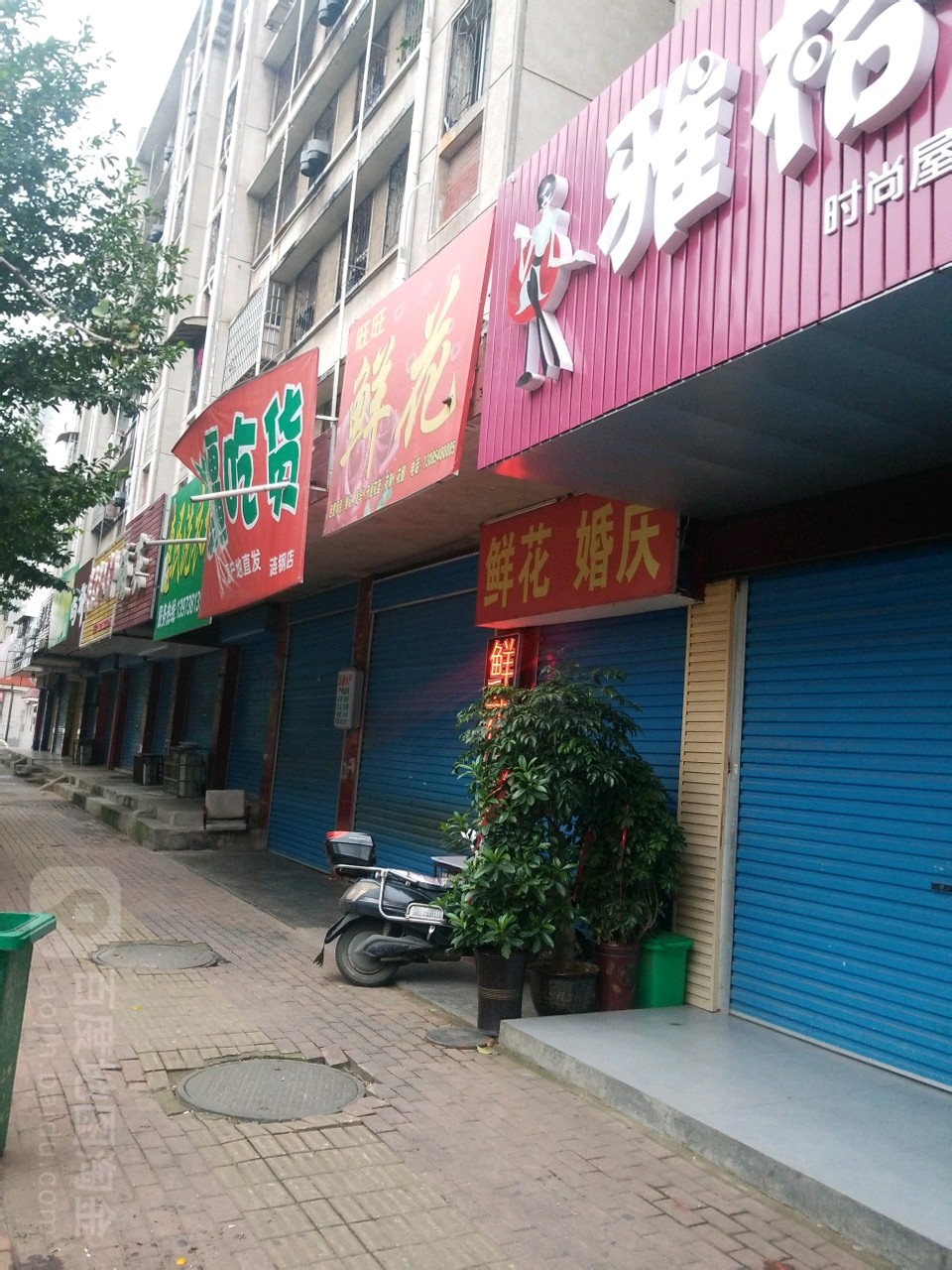 旺旺鲜花