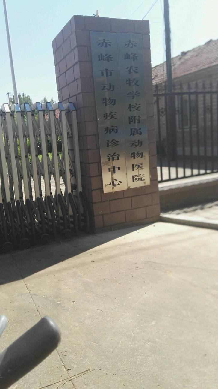 赤峰市动物疾病诊治中心