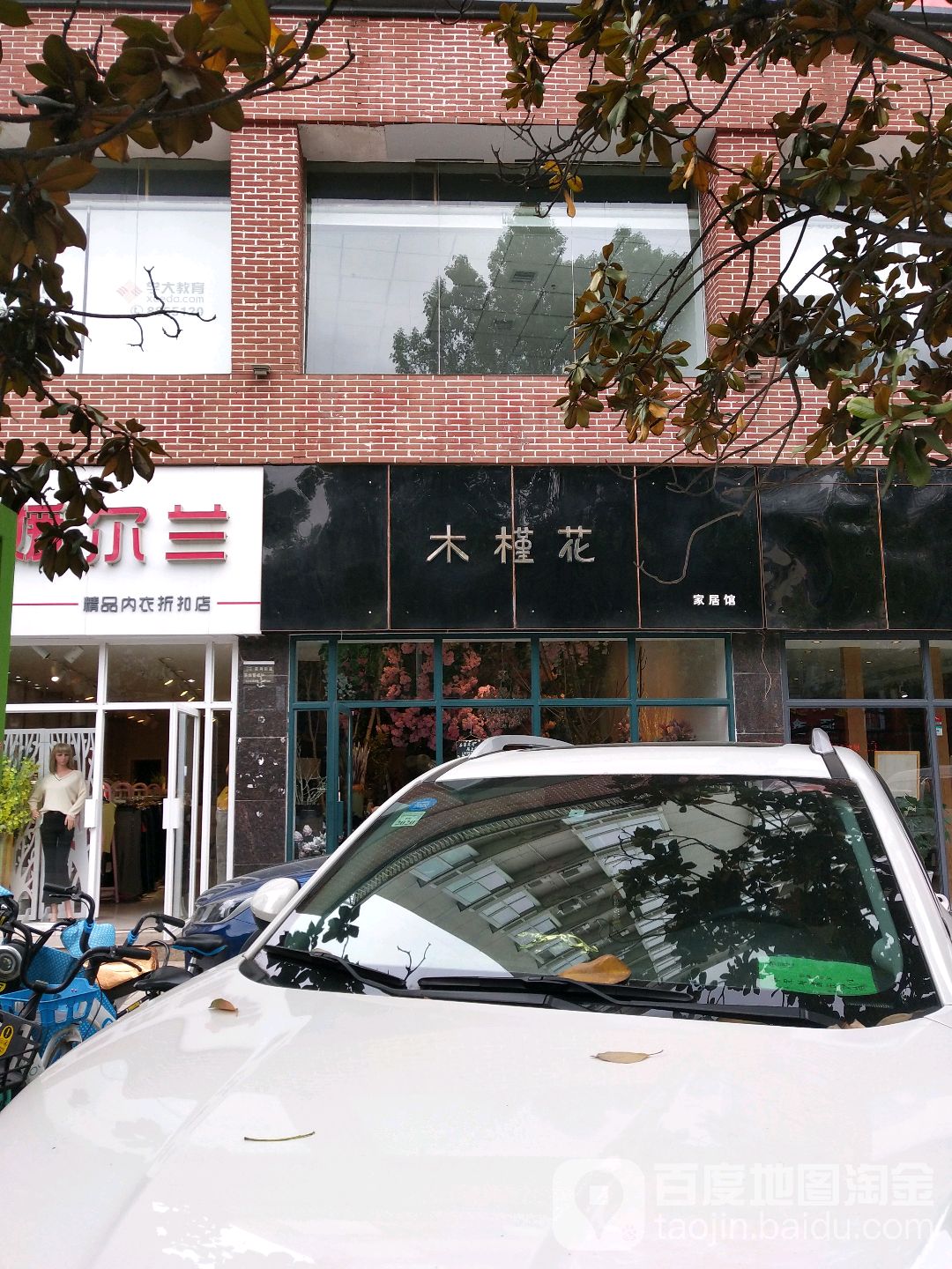 木槿花(莲湖东路店)